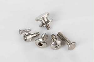Stainless steel screws