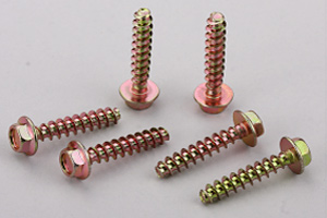 Hexagonal gasket screw