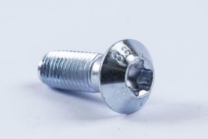 Torx flat round head triangular screw